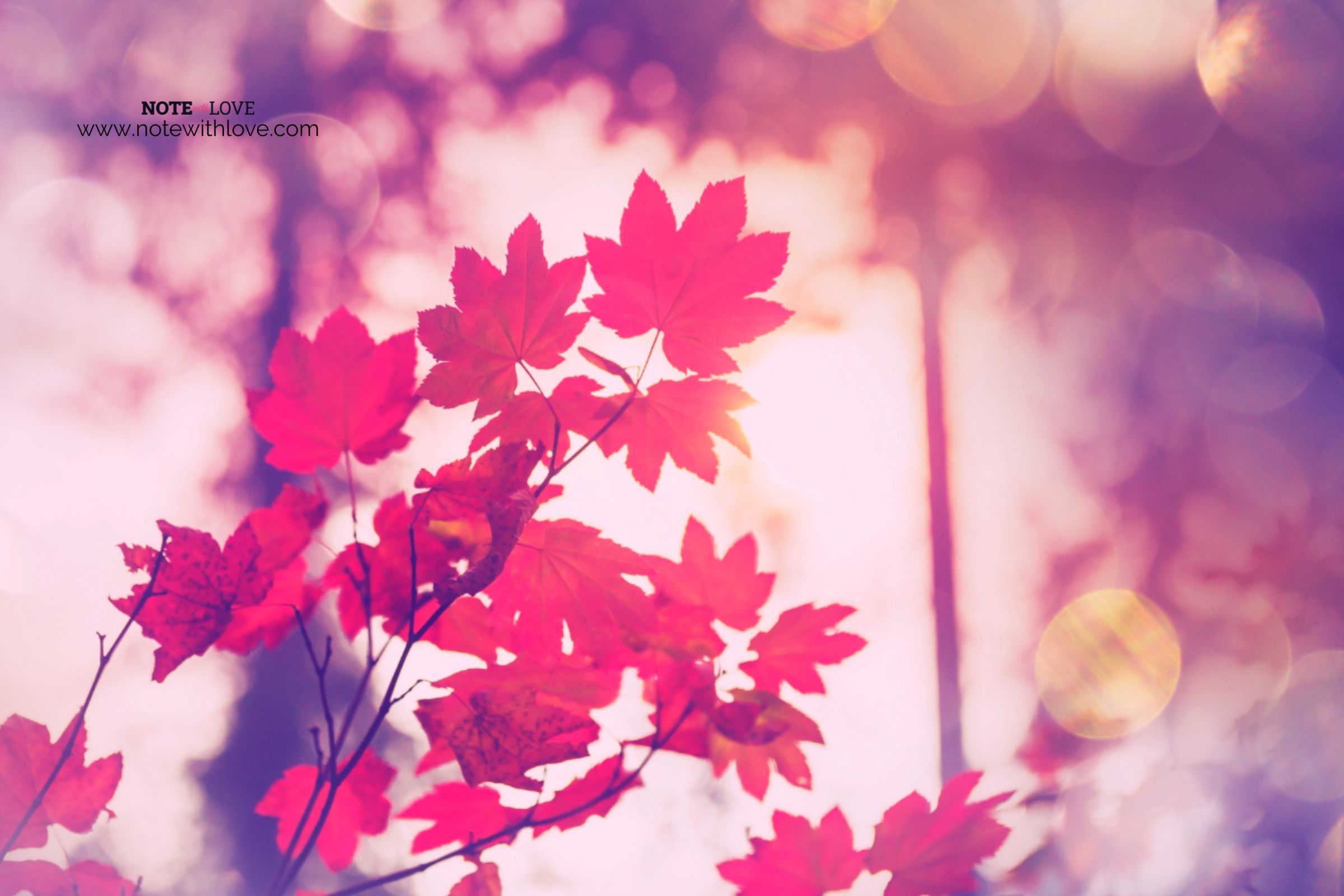First-Day-of-Autumn-Banner
