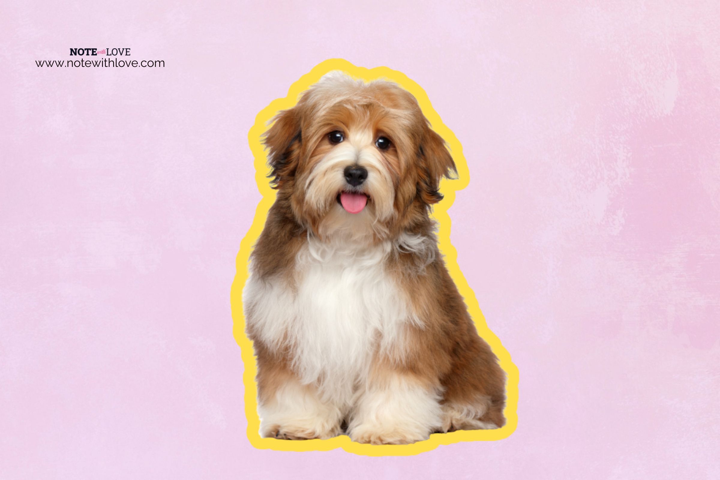 International-Dog-Day-Banner