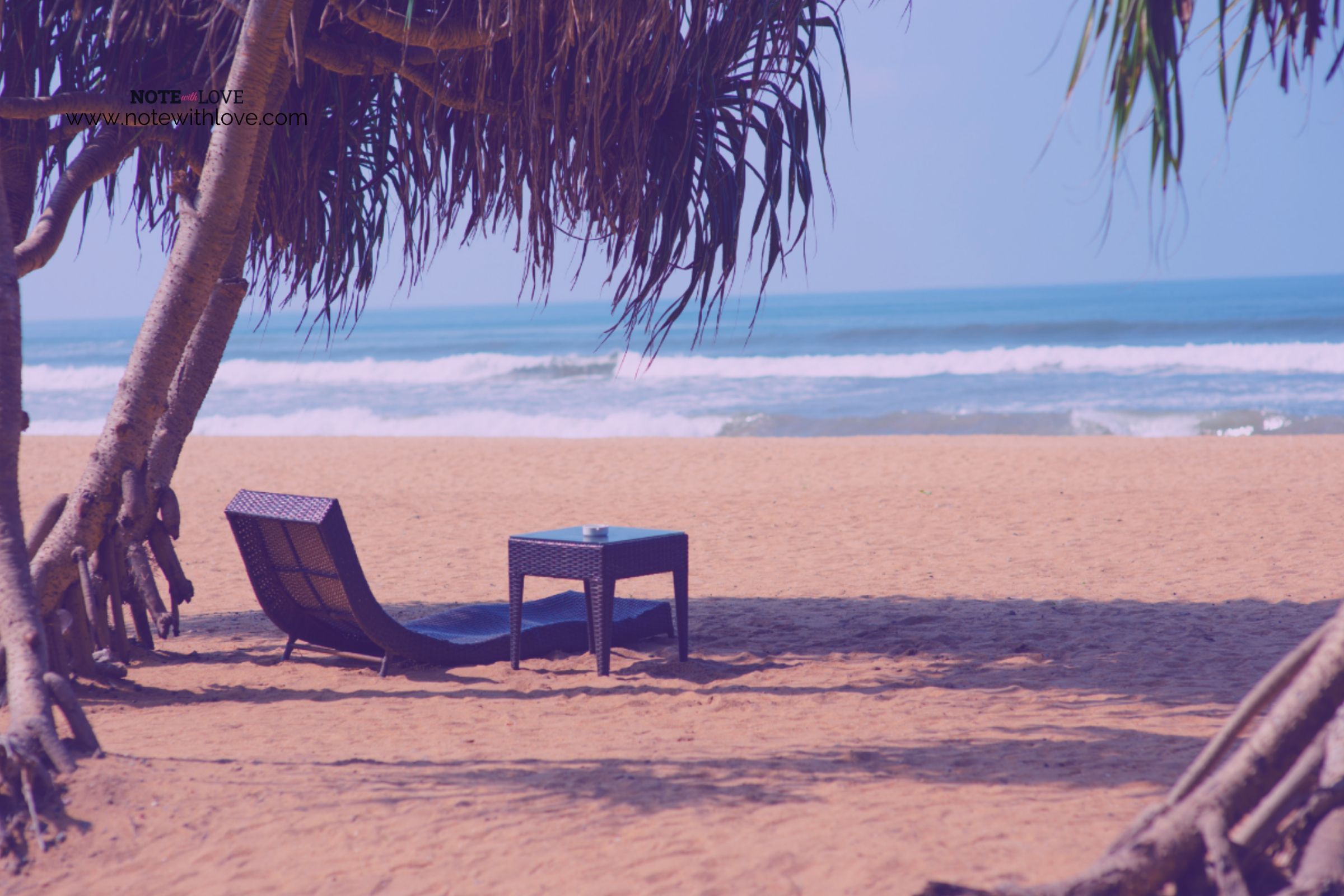 National-Beach-Day-Banner