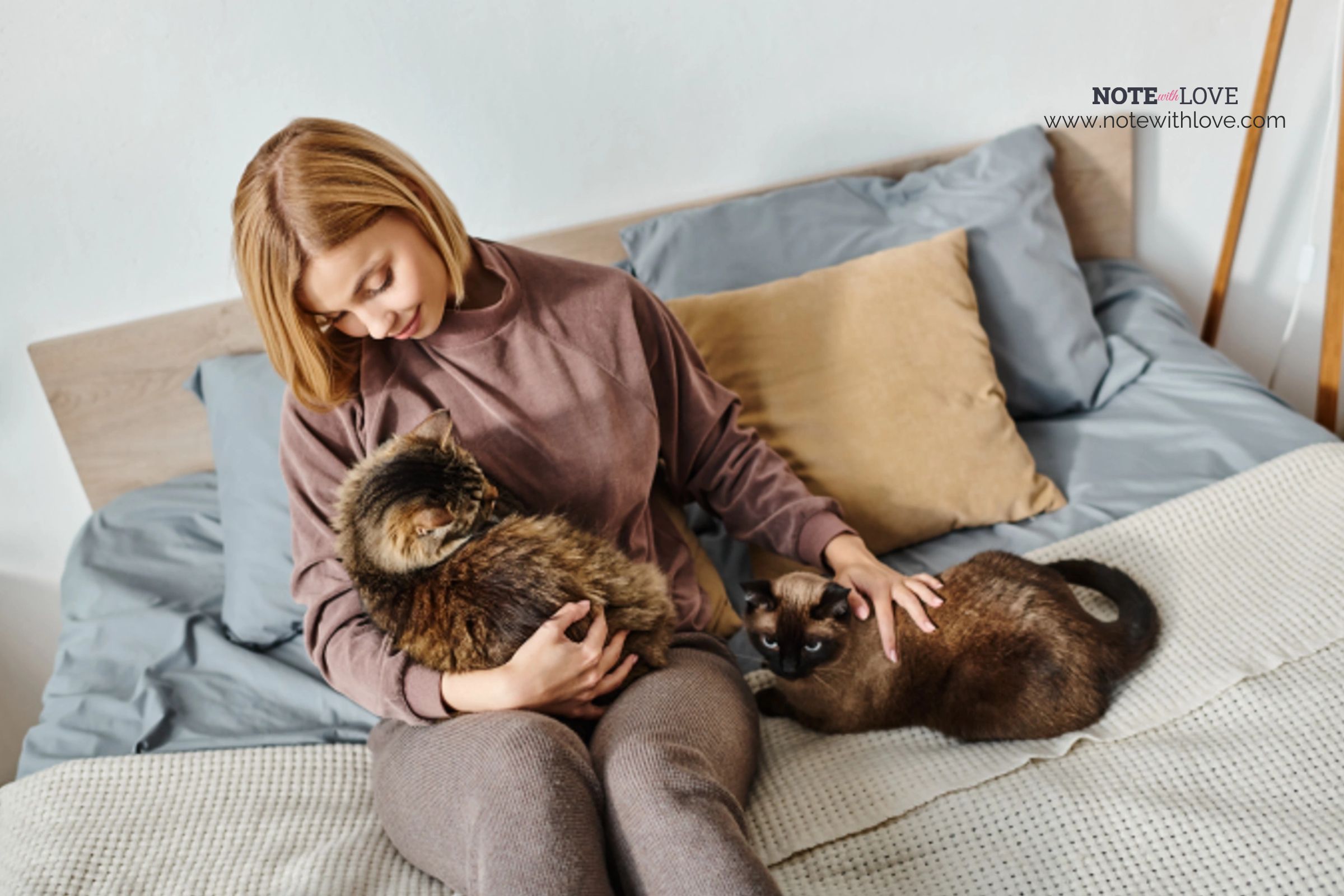 National-Cat-Lady-Day-Banner