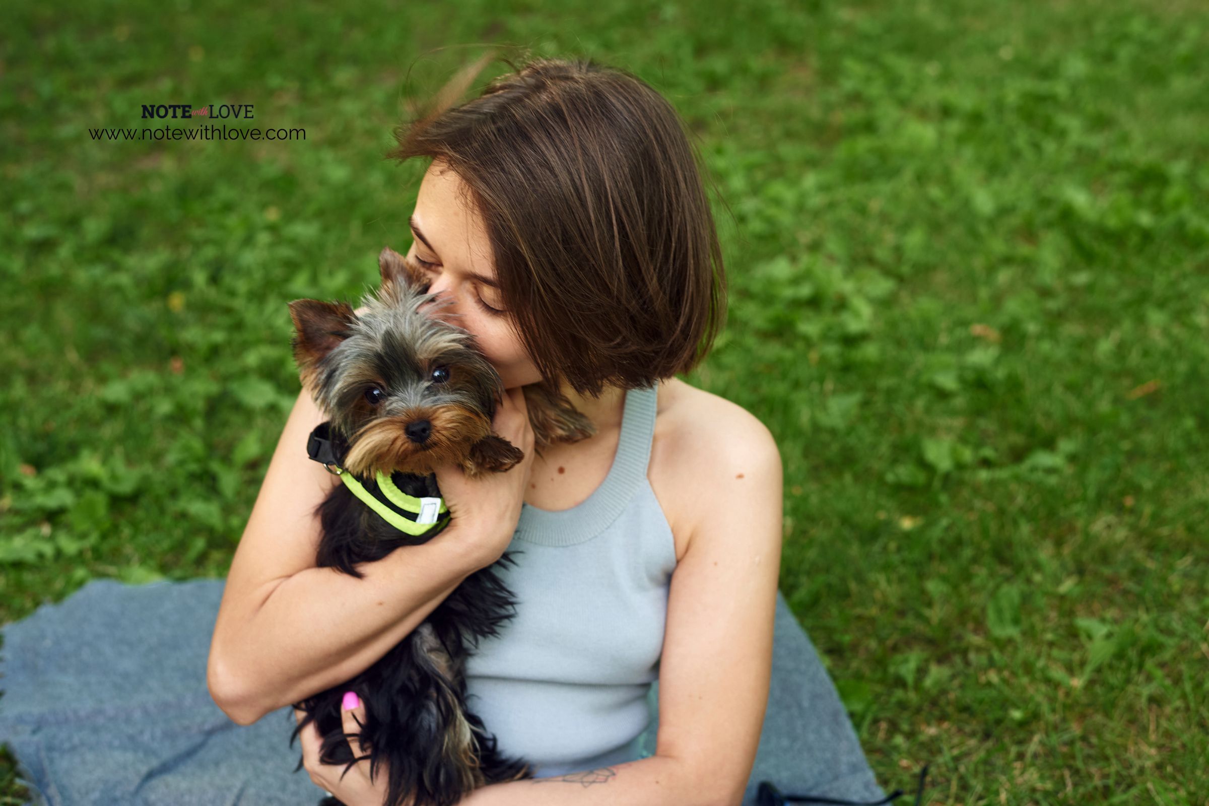 National-Love-Your-Pet-Day-Banner