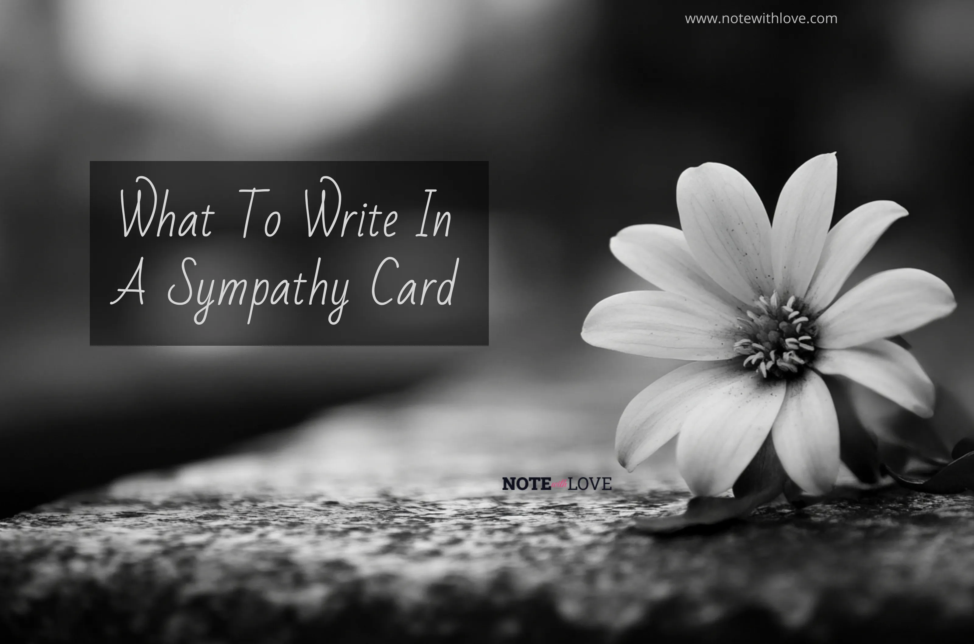 What to write in a sympathy message